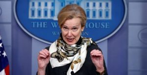 Dr. Birx: If you traveled over Thanksgiving holiday, ‘assume’ you have COVID-19 (justthenews.com)