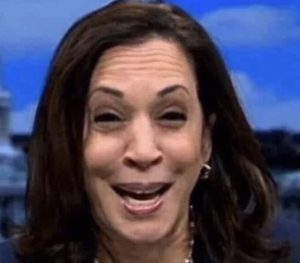 Kamala Harris, Other Top Dems, Listed as ‘Key Contacts’ For Biden Family Ventures In Newly Leaked Email (townhall.com)