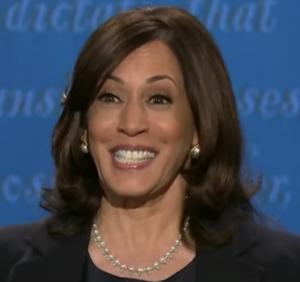They Will Unseat Him: The Plot Against All Precedent – If Biden is elected, the qualities which attracted the Democratic establishment to his once unlikely candidacy would be made defunct. Kamala Harris would be one step from the presidency. (amgreatness.com)
