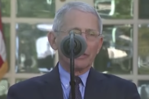 President Trump Gets Into War Of Words With Fauci Just A few Short Weeks Before Election (flagandcross.com)