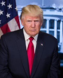 This is the President Trump we should have seen weeks ago: Goodwin (nypost.com)