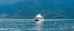 Your Vote is Your Boat (kingdomwinds.com)